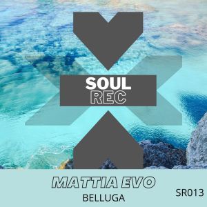收聽Mattia Evo的Belluga歌詞歌曲