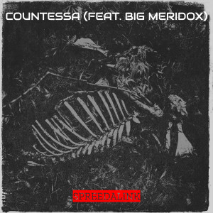 Listen to Countessa (Explicit) song with lyrics from SpreeDaLink