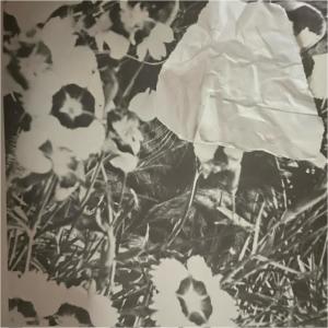 收聽Hillamillion的lullaby (feat. canifallasleepnow)歌詞歌曲