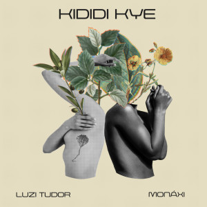 Album Kididi Kye from Luzi Tudor