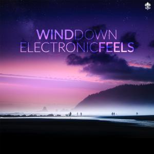 อัลบัม Wind Down Electronic Feels ศิลปิน C41