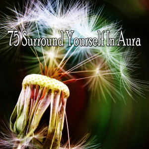 ดาวน์โหลดและฟังเพลง Remove Hardship พร้อมเนื้อเพลงจาก Asian Zen Spa Music Meditation