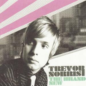 ดาวน์โหลดและฟังเพลง Let You Down พร้อมเนื้อเพลงจาก Trevor Norris