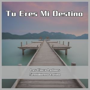Listen to La Violetera song with lyrics from Los Cinco Latinos