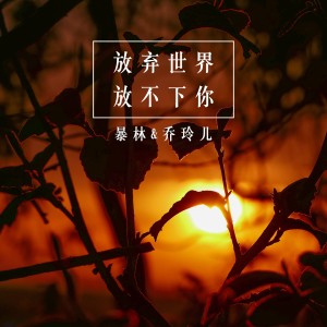 收听暴林的今夜你做了谁的新娘歌词歌曲