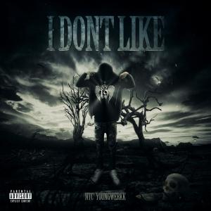ดาวน์โหลดและฟังเพลง I Don't Like (Explicit) พร้อมเนื้อเพลงจาก NTC Youngwerkk