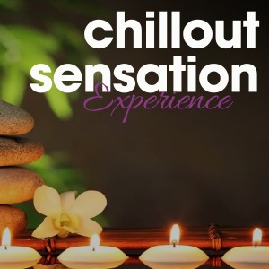Various Artists的專輯Chillout Sensation Experience