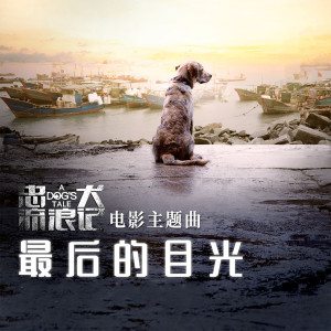 收聽楊恭偉的最後的目光歌詞歌曲