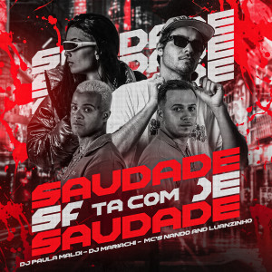 DJ Paula Maldi的專輯Ta Com Saudade (Explicit)