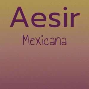 Various Artists的專輯Aesir Mexicana