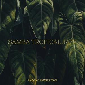 ดาวน์โหลดและฟังเพลง Na Gafieira พร้อมเนื้อเพลงจาก Marcelo Moraes Teles