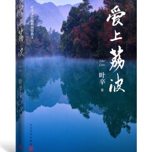 Album 爱上荔波 from 王兴飞