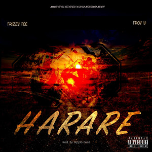 Album Harare (Explicit) from Trizzy Tee