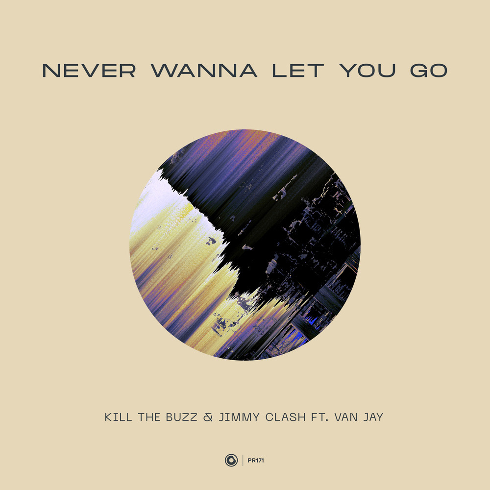 Never Wanna Let You Go (Extended Mix)