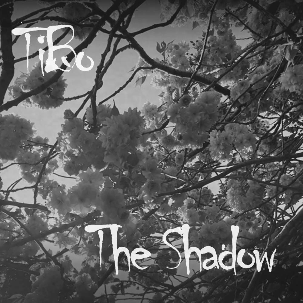 The Shadow