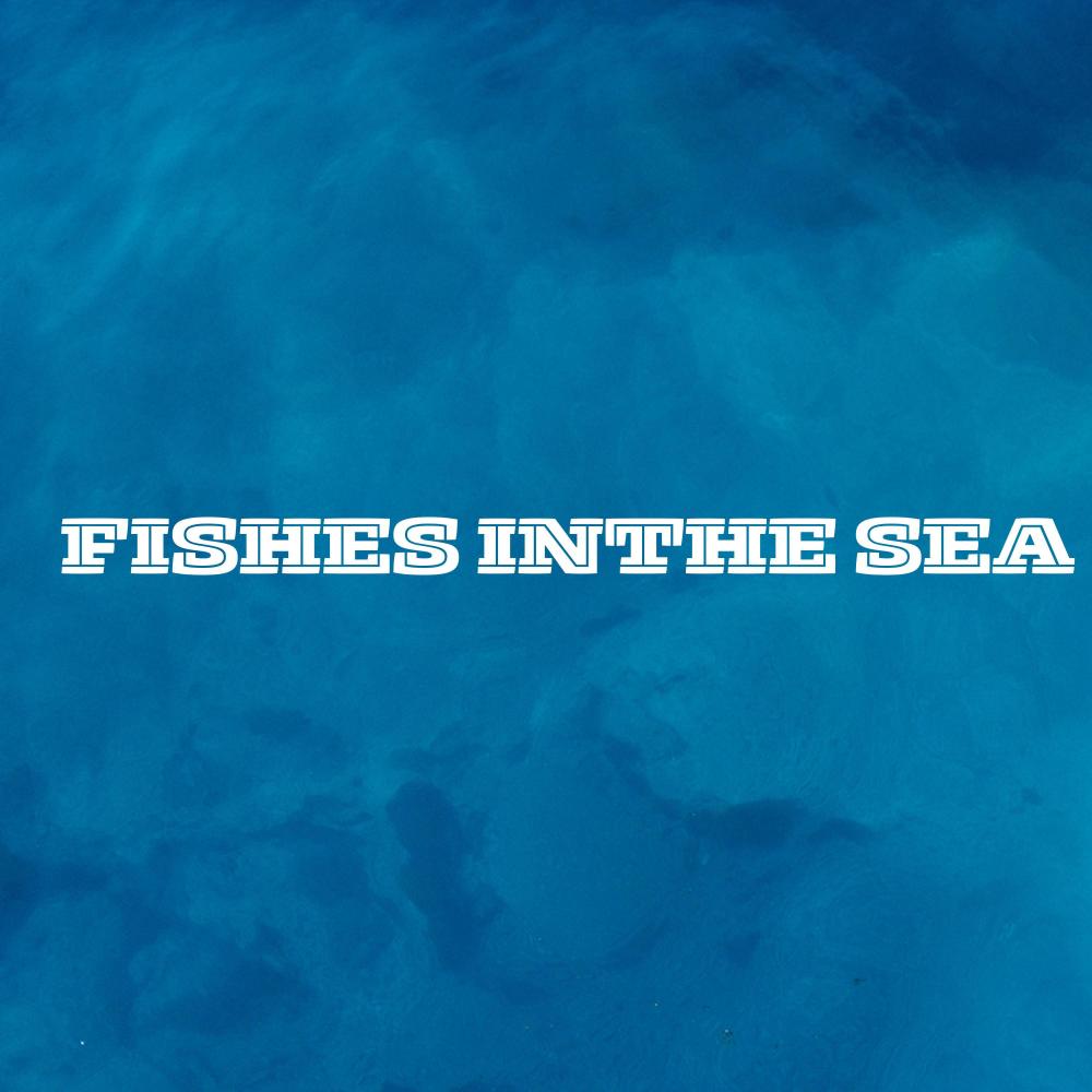 FISHES INTHE SEA (Explicit)