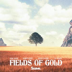 Listen to Fields Of Gold (feat. Kajot) song with lyrics from Jane Good