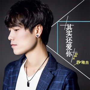 Listen to 最爱的人却伤我最深 song with lyrics from 沙靖杰