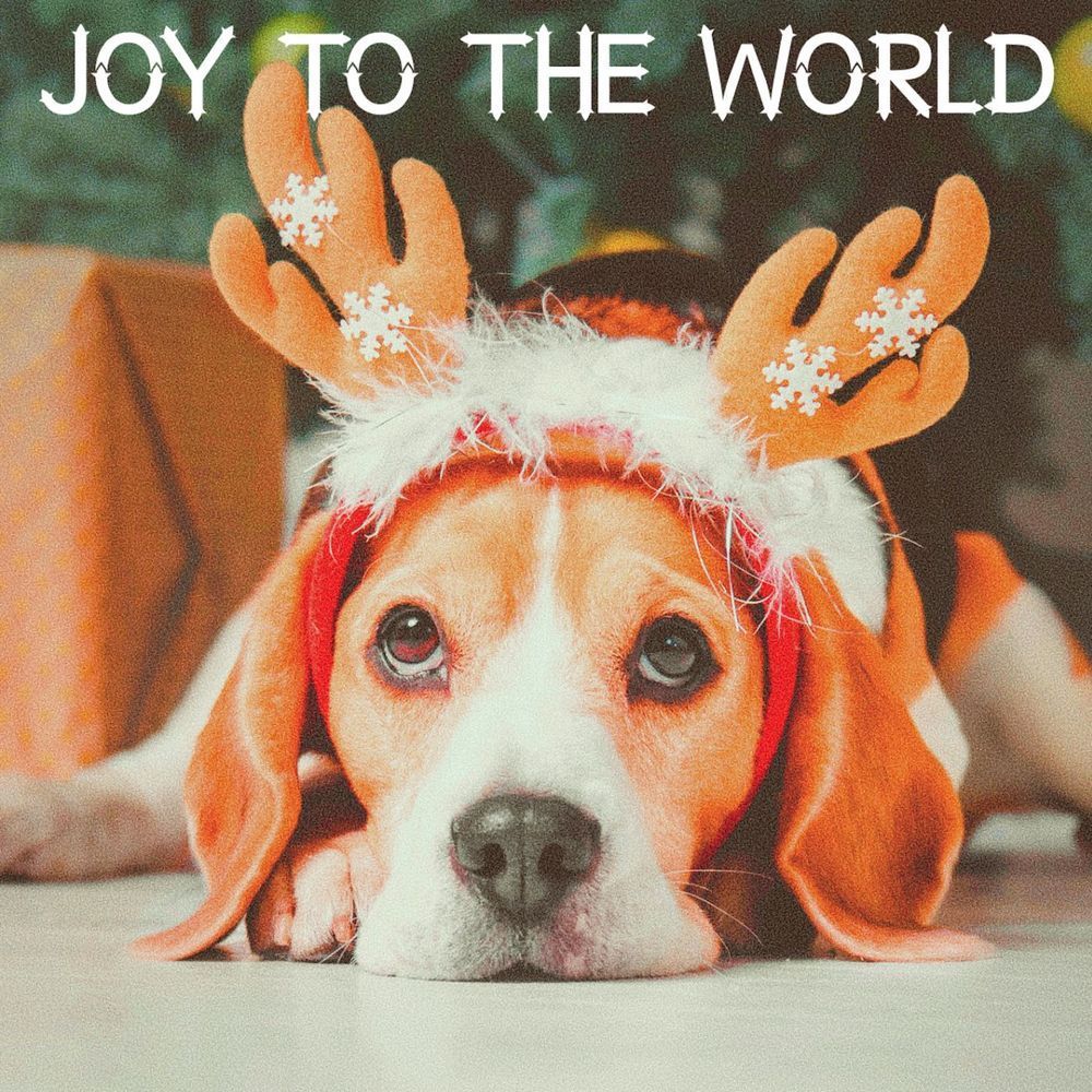The Twelve Days of Christmas