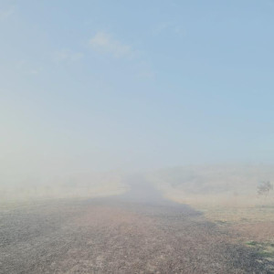 Album 惧怕 from 地底乐团