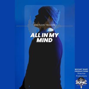 ดาวน์โหลดและฟังเพลง Bonus: Reset (feat. T-Ski) พร้อมเนื้อเพลงจาก Braylon Travon