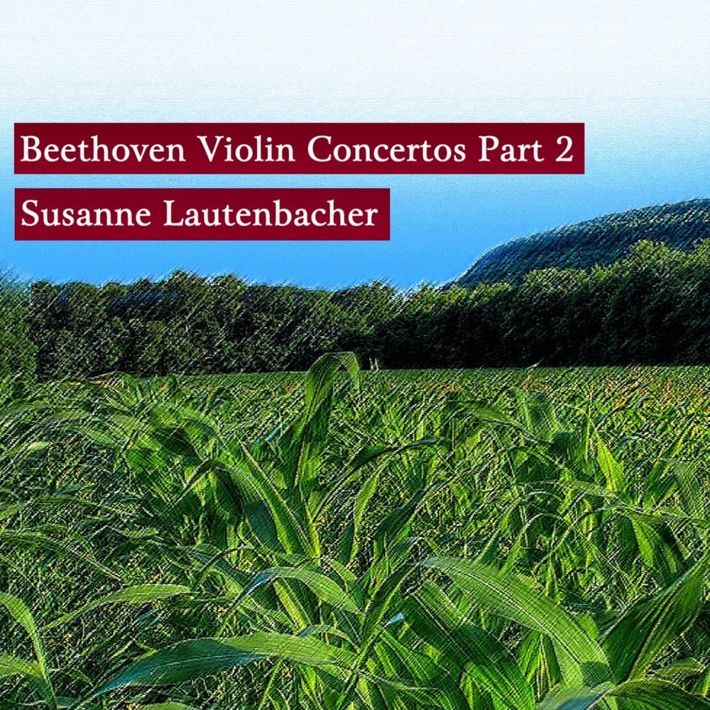 Violin Concerto in D Major, Op. 61 (Beginning): I. Allegro ma non troppo