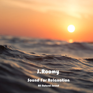 ดาวน์โหลดและฟังเพลง Valley Sound for Relaxation พร้อมเนื้อเพลงจาก J.Roomy