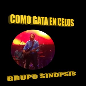 Listen to Como Gata En Celos song with lyrics from Grupo Sinopsis
