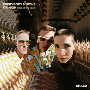 ดาวน์โหลดและฟังเพลง Everybody Knows I'm High (NIIKO X SWAE Remix) พร้อมเนื้อเพลงจาก SHAED