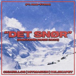 Listen to Det Snør (Bukkene Ruse 2022) (Explicit) song with lyrics from CIGARILLOS