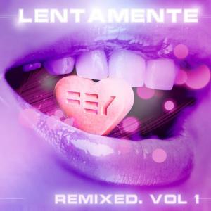 Listen to Lentamente (Remix) song with lyrics from Fey
