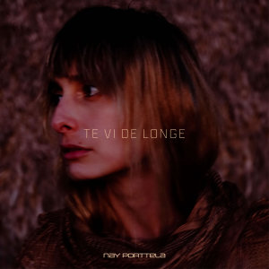 Listen to Te Vi de Longe song with lyrics from Nayara Portela