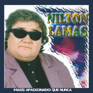 ดาวน์โหลดและฟังเพลง Um Pássaro Ferido พร้อมเนื้อเพลงจาก Nilton Lamas