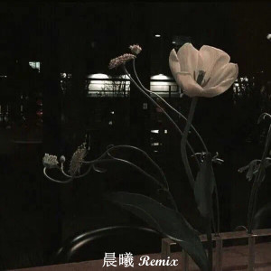 收聽晨曦 Music的其實（晨曦DJ版)歌詞歌曲