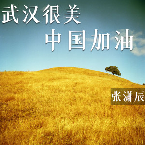 收聽張瀟辰的武漢很美 中國加油歌詞歌曲