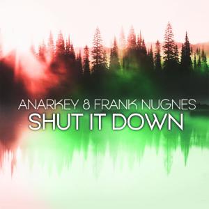 Album Shut It Down from 