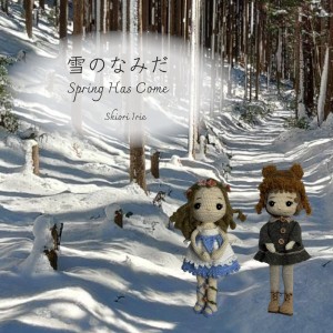 收听入江しほり的雪のなみだ歌词歌曲