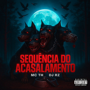 收聽DJ RZ的Sequência do Acasalamento (Explicit)歌詞歌曲