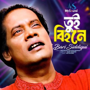 Album Tui Bihone from Bari Siddiqui