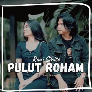 Album Pulut Roham oleh Roni Sihite