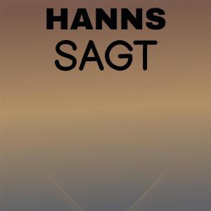 Various Artists的專輯Hanns Sagt