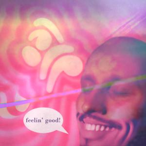 Album feelin' good! (Siem Cobussen Anthem) oleh DJ Leo
