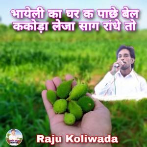 Album Bhayeli Ka Ghar K Pache Bel Kakoda Leja Saag Rande To from Raju Koliwada