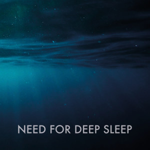 Album Need for Deep Sleep oleh New Babysound Academy