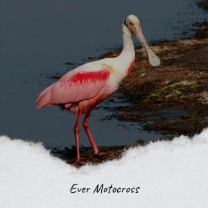 收聽Shada Arley的Ever Motocross歌詞歌曲