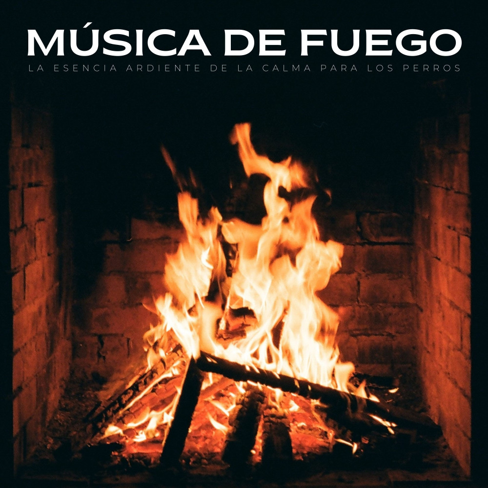 Relajante Fuego En La Azotea