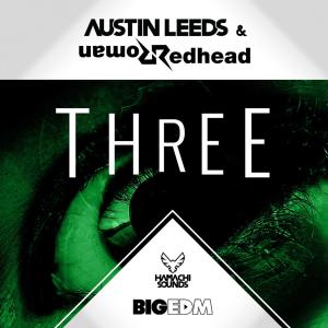 Listen to Three (Original Mix) song with lyrics from Redhead Roman