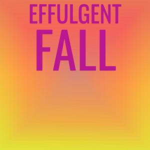 อัลบัม Effulgent Fall ศิลปิน Various