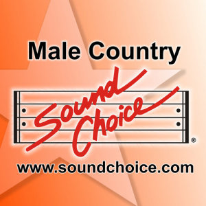 อัลบัม Karaoke - Classic Male Country - Vol. 30 ศิลปิน Sound Choice Karaoke