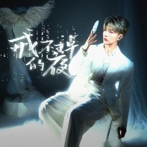 Album 戒不掉的夜 from 吴岱林
